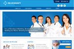 Bluekraft Medical