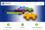 Eximius Systems